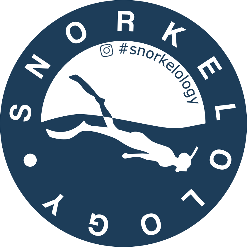 Image showing Snorkelology Logo sticker design