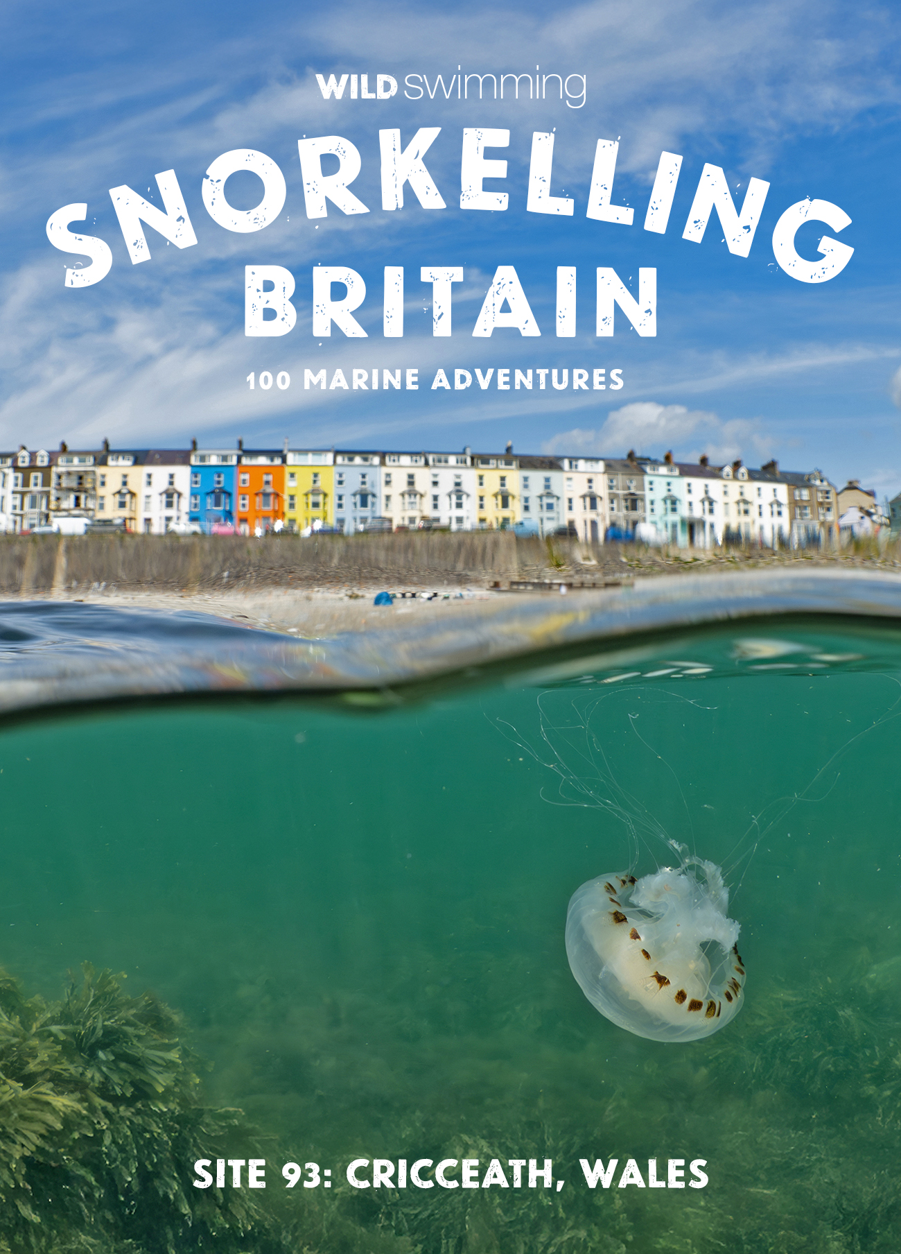 Snorkelling Britain Postcard Site 93 - Cricceath